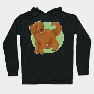 Golden Retriever - Red Hoodie